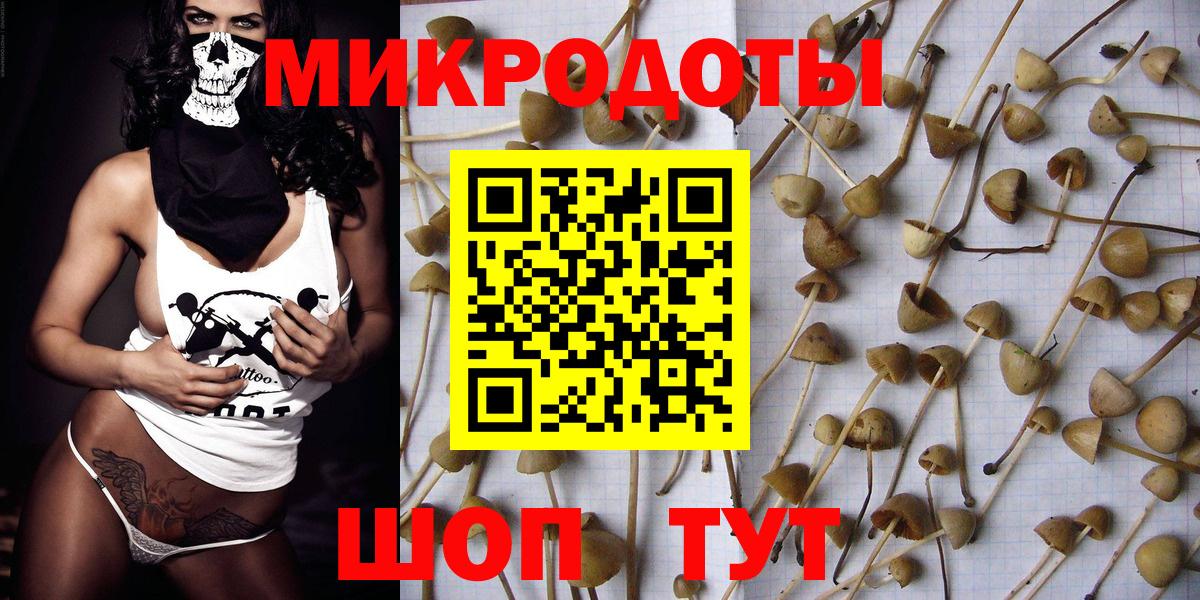 Галлюциногенные грибы прущие грибы  Псилоцибиновые грибы Cubensis  Вход с VPN  Архангельск 