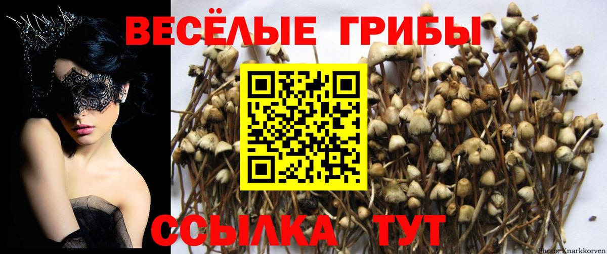 Галлюциногенные грибы MAGIC MUSHROOMS Архангельск